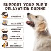 Calming Chews for Labrador Dogs with Valerian Root and Hemp Oil Aid during Thunderstorms Separation Car Rides Hip and Joint Health Tasty Dog Calming T