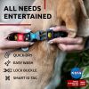 Nylon Dog Collar Adjustable for Large Dogs Small Medium Dogs for Boy Girl Dog Collars with Durable Plastic Buckle 9-14 inch Neck x 3/5 inch Wide Nasa