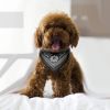 Adjustable Bandana Leather Pet Collar Triangle Scarf