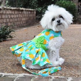 Pineapple Luau Dog Harness Dress with Matching Leash (size: large)