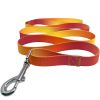 American River Ombre Leash