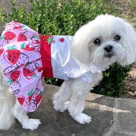 Strawberry Picnic  Harness Dress with Matching Leash (size: small)